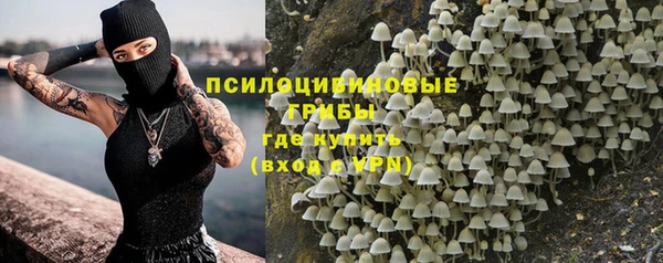a pvp Ростов