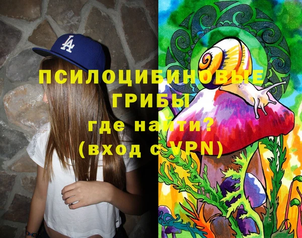 a pvp Ростов