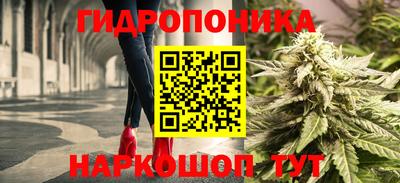 хмурый Абакан