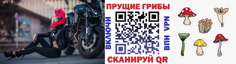 Псилоцибиновые грибы ЛСД  Абинск 