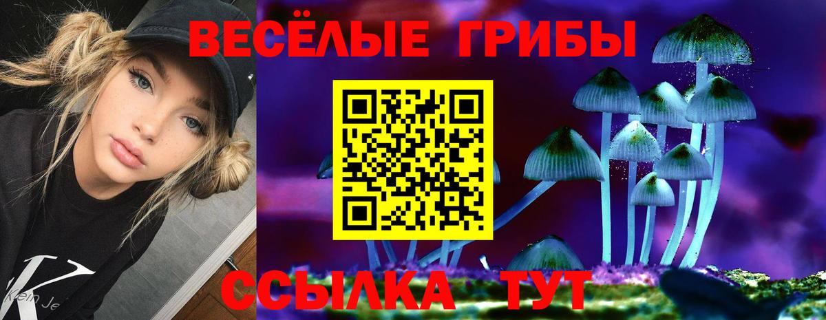 Абинск  закладка  Вход с VPN  Псилоцибиновые грибы MAGIC MUSHROOMS 