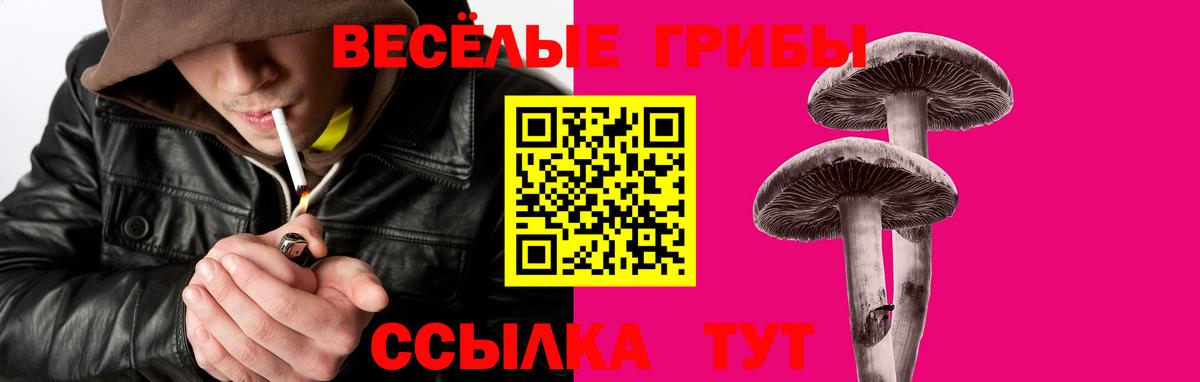 Псилоцибиновые грибы Psilocybine cubensis Абинск